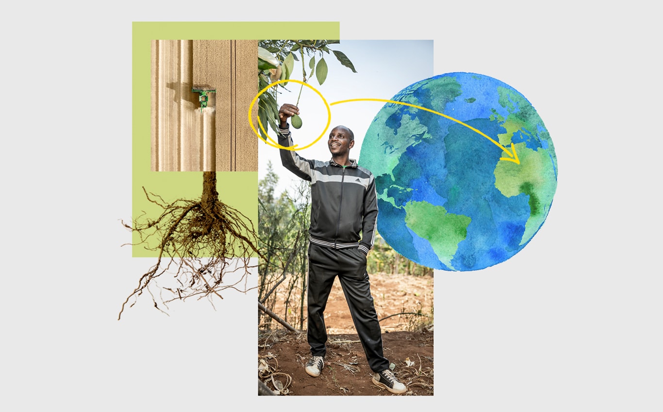 Ilmakuva John Deere -ajosilppurista pellolla, puusta roikkuvaa avokadoa poimivasta henkilöstä sekä nuolesta, joka osoittaa kohti Afrikkaa Maata esittävässä kuvassa.