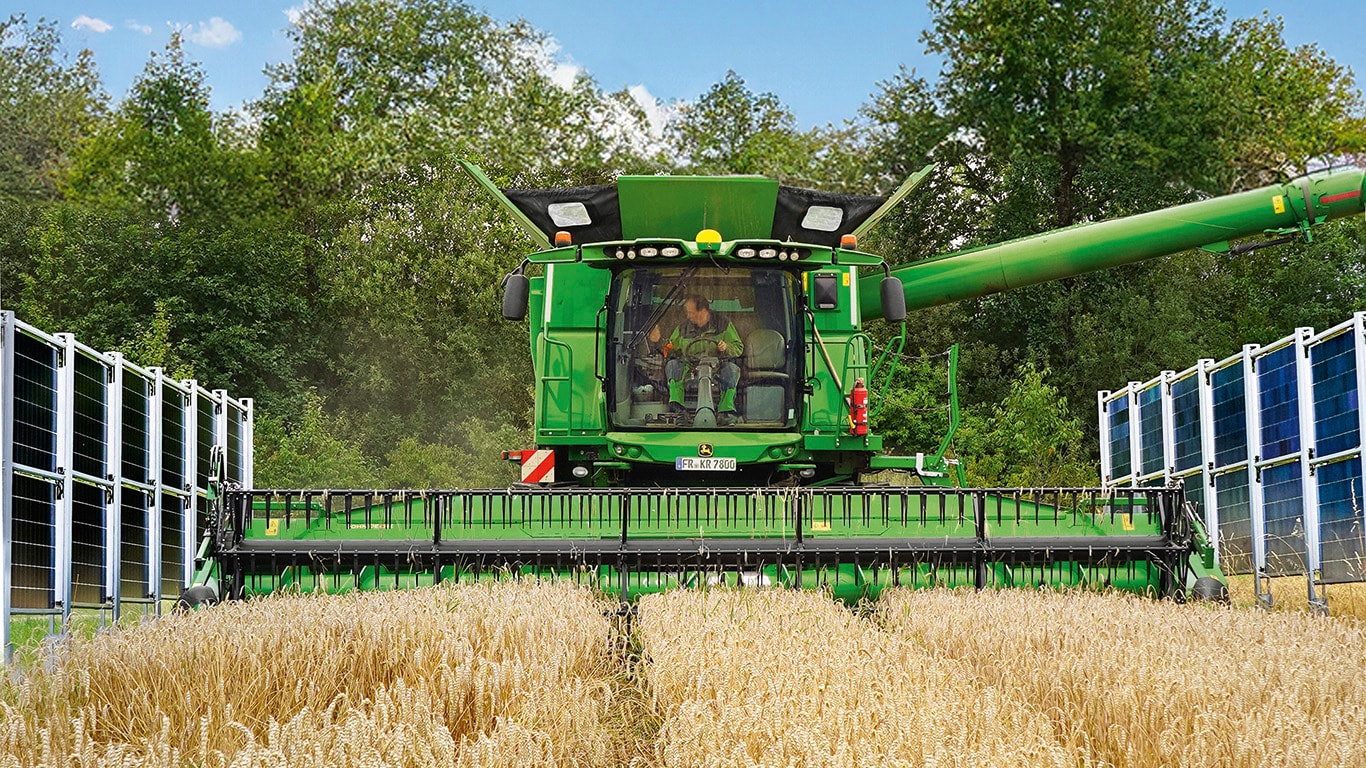 MITEN AGRIVOLTAICSJÄRJESTELMÄT VAIKUTTAVAT SATOIHIN?