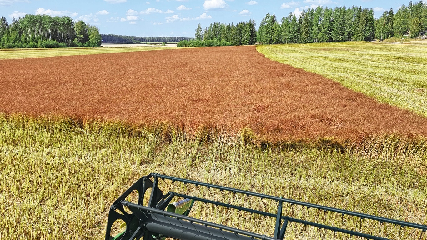 KUMINA SEKÄ VAATII, ETTÄ ANTAA
