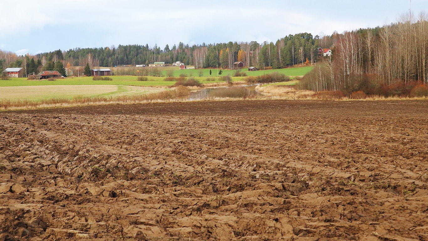 SIIPIKARJALANTAA PELLOLLE VAAN!