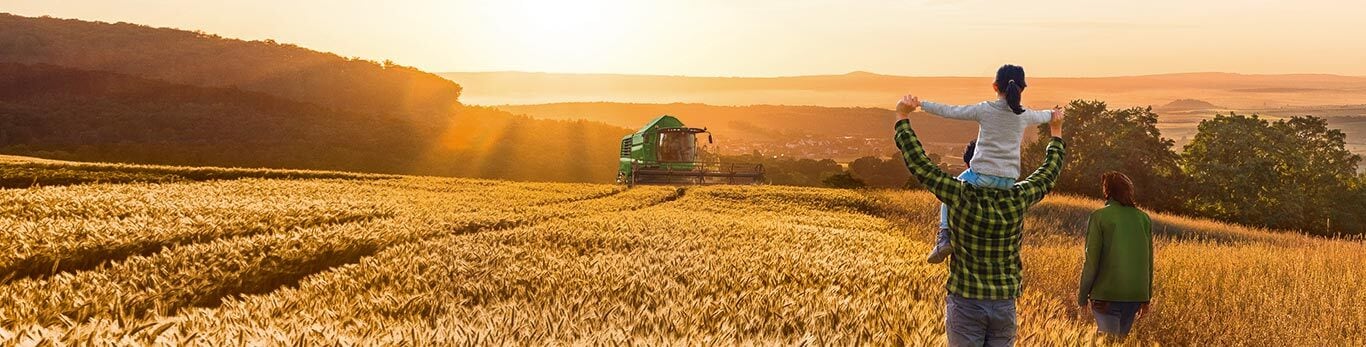 John Deere Financial -perhe vehnäpellolla