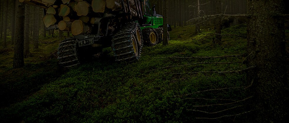 Metsän varpuja ja John Deere -metsäkone